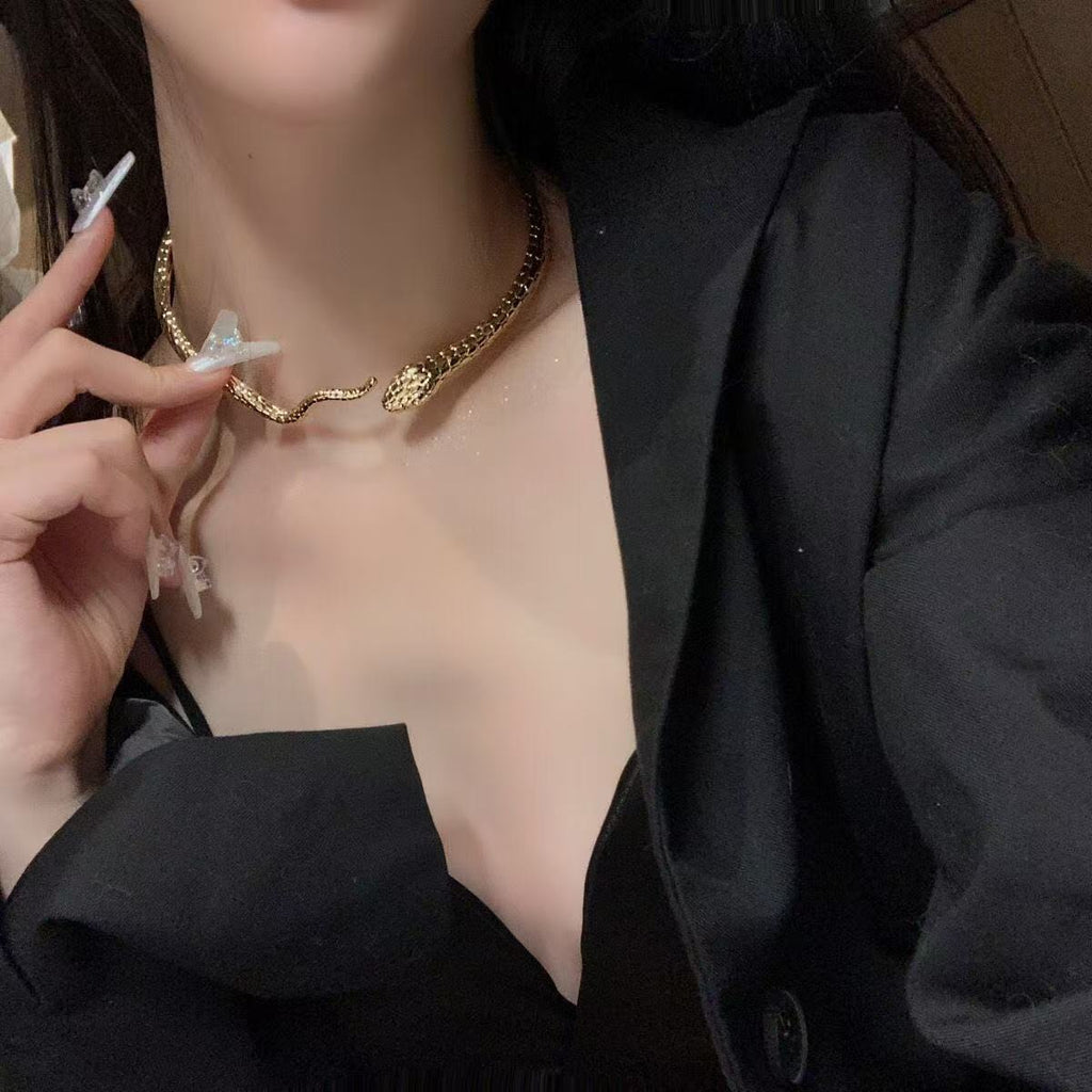 Metal Snake Chain Collar